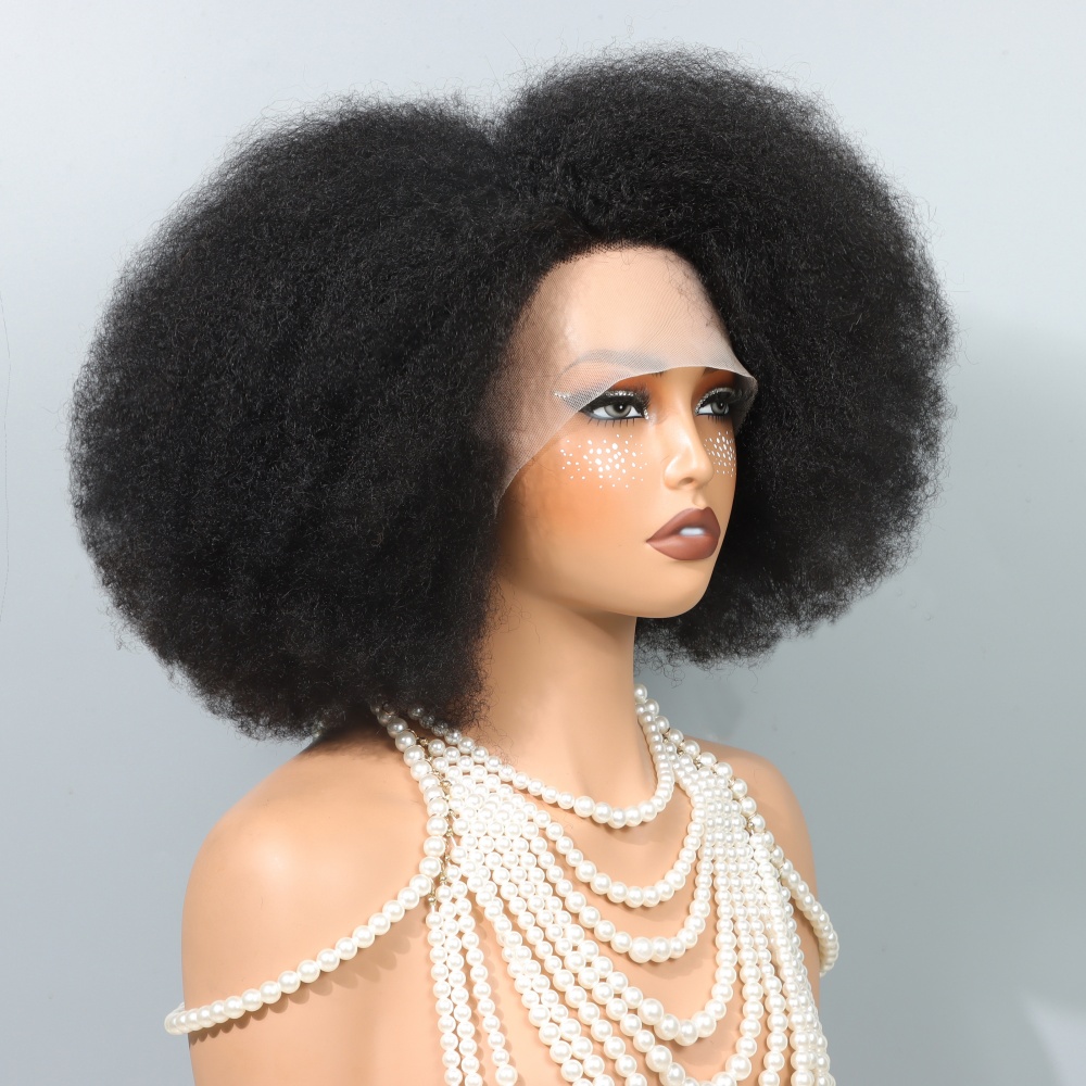 Siyah Kadınlar İçin 14 İnç Afr - Glueless Wear And Go Human Hair Wig incelemesi ve fiyatı