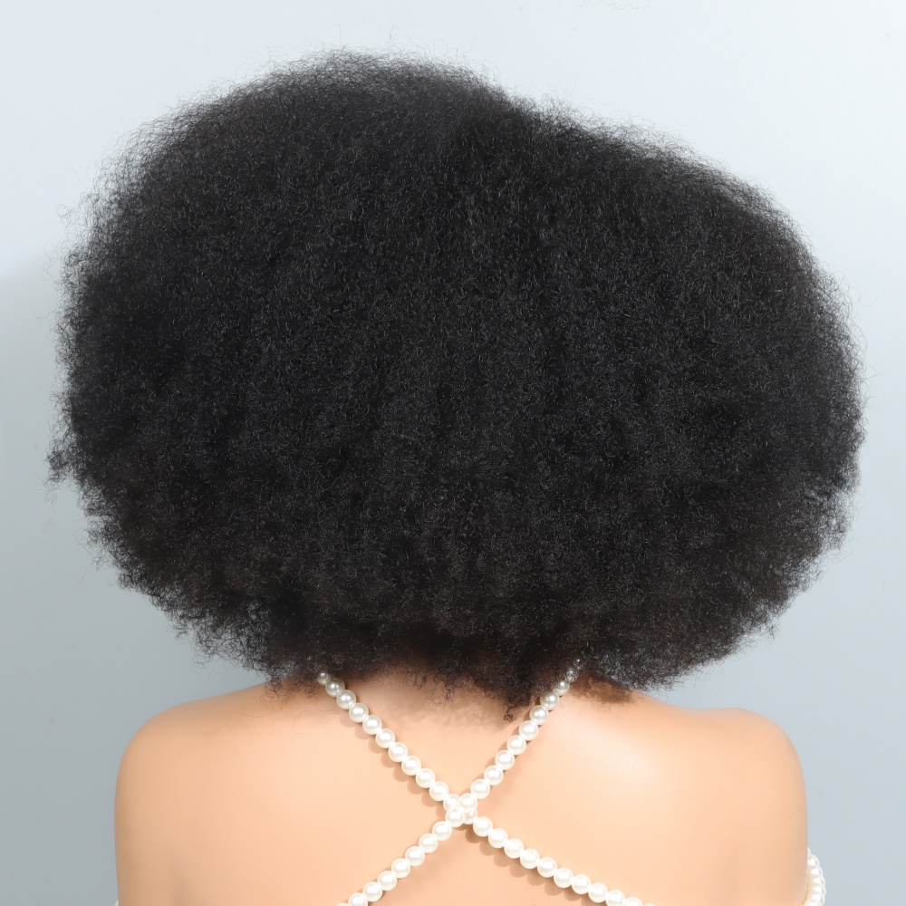 Siyah Kadınlar İçin 14 İnç Afr - Glueless Wear And Go Human Hair Wig incelemesi ve fiyatı